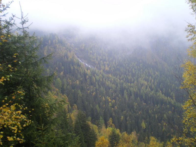 Подмосковные леса на 1800м....посмотреть следующее фото...